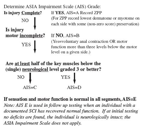 spinal cord injuries spine orthobullets com myotome testing