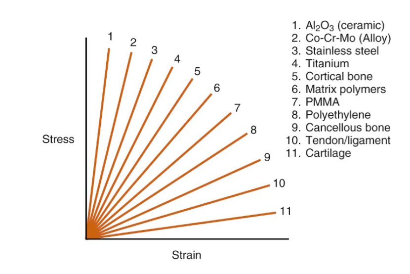 Question 3743 Qbank Orthobullets
