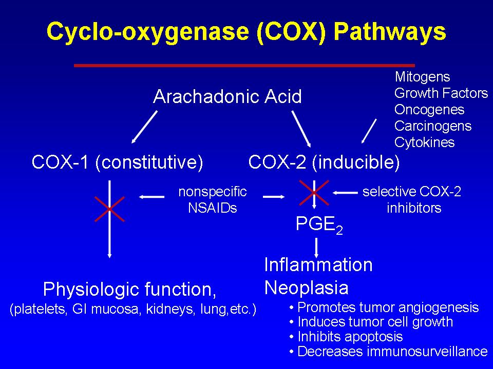 Anti-inflammatory Medications - Basic Science