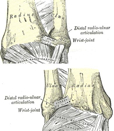 Distal Radial Ulnar Joint DRUJ Injuries Trauma Orthobullets